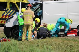 Ravage op N247