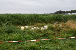 Jerrycans gedumpt in Warder